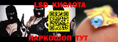 прущие грибы Пыть-Ях
